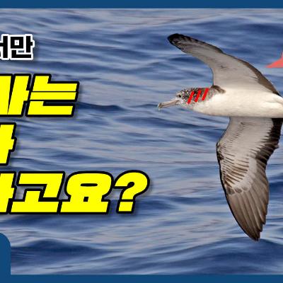 2026.03.02 제2026-009호