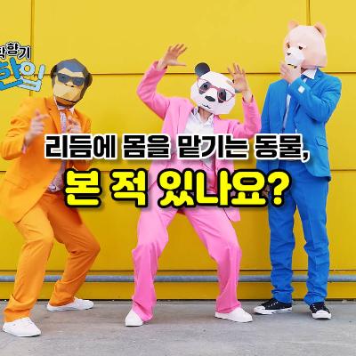 리듬에 몸을 맡기는 동물, 본 적 있나요?