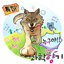 [KISTI의 과학향기 for kids] 9일간의 대탈출, 늑구는 왜 땅굴을 팠을까?
