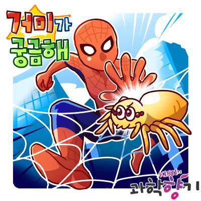 [KISTI의 과학향기 for kids] 스파이더맨보다 더 신기한 진짜 거미의 비밀