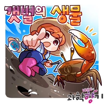 [과학향기 for kids] 지구를 지키는 갯벌에는 누가 살고 있을까?