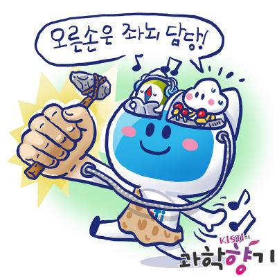 [과학향기 Story] 오른손잡이가 많은 이유…‘두 발’과 ‘큰 뇌’ 때문이다?