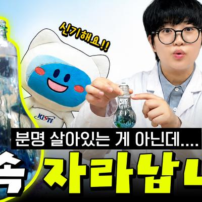 [KISTI의 과학향기x슈르슈르!!] 분명 살아있는 게 아닌데...계속 자라납니다!!