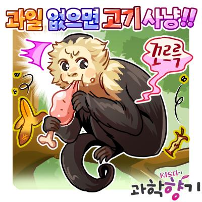 [과학향기 for kids] 원숭이도 동물을 사냥해 먹는다?