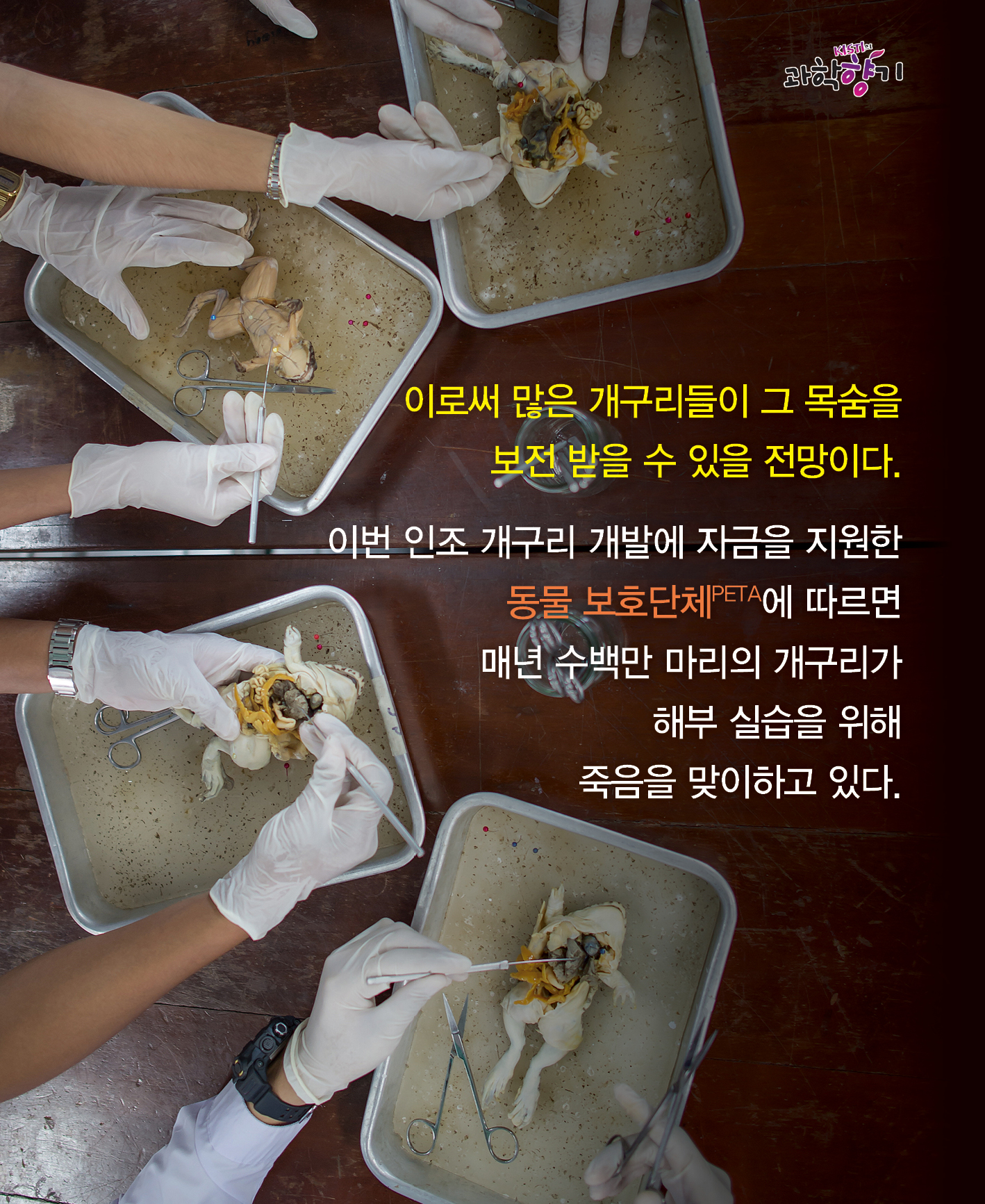0122 카드뉴스 최종 200dpi 08