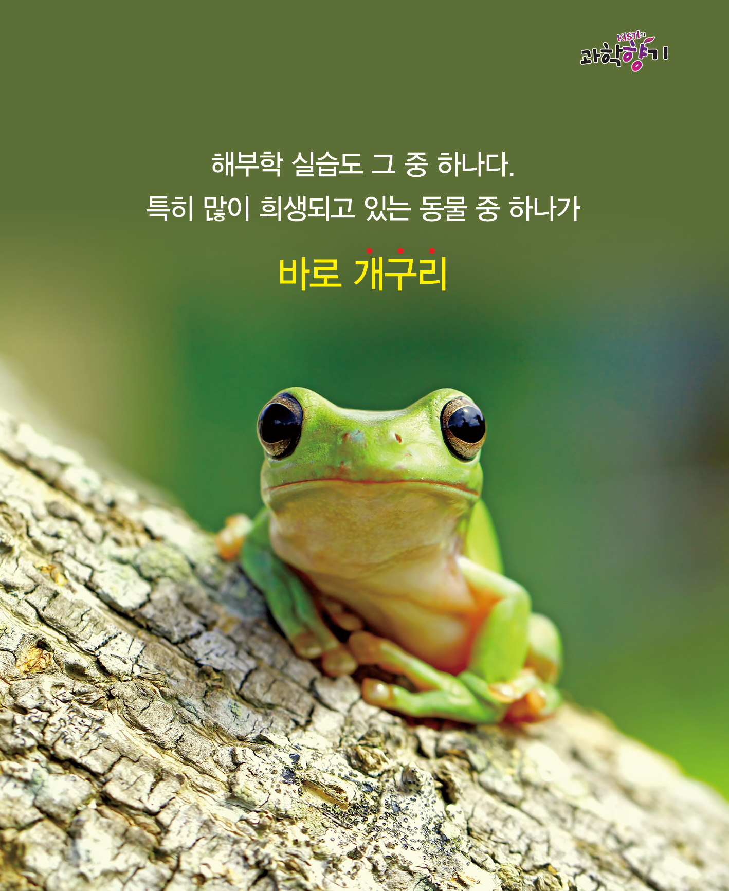 0122 카드뉴스 최종 200dpi 03