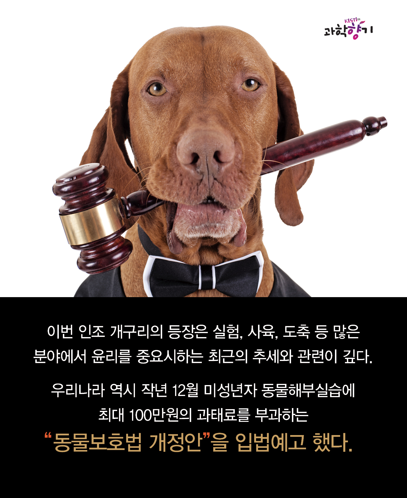 0122 카드뉴스 최종 200dpi 13