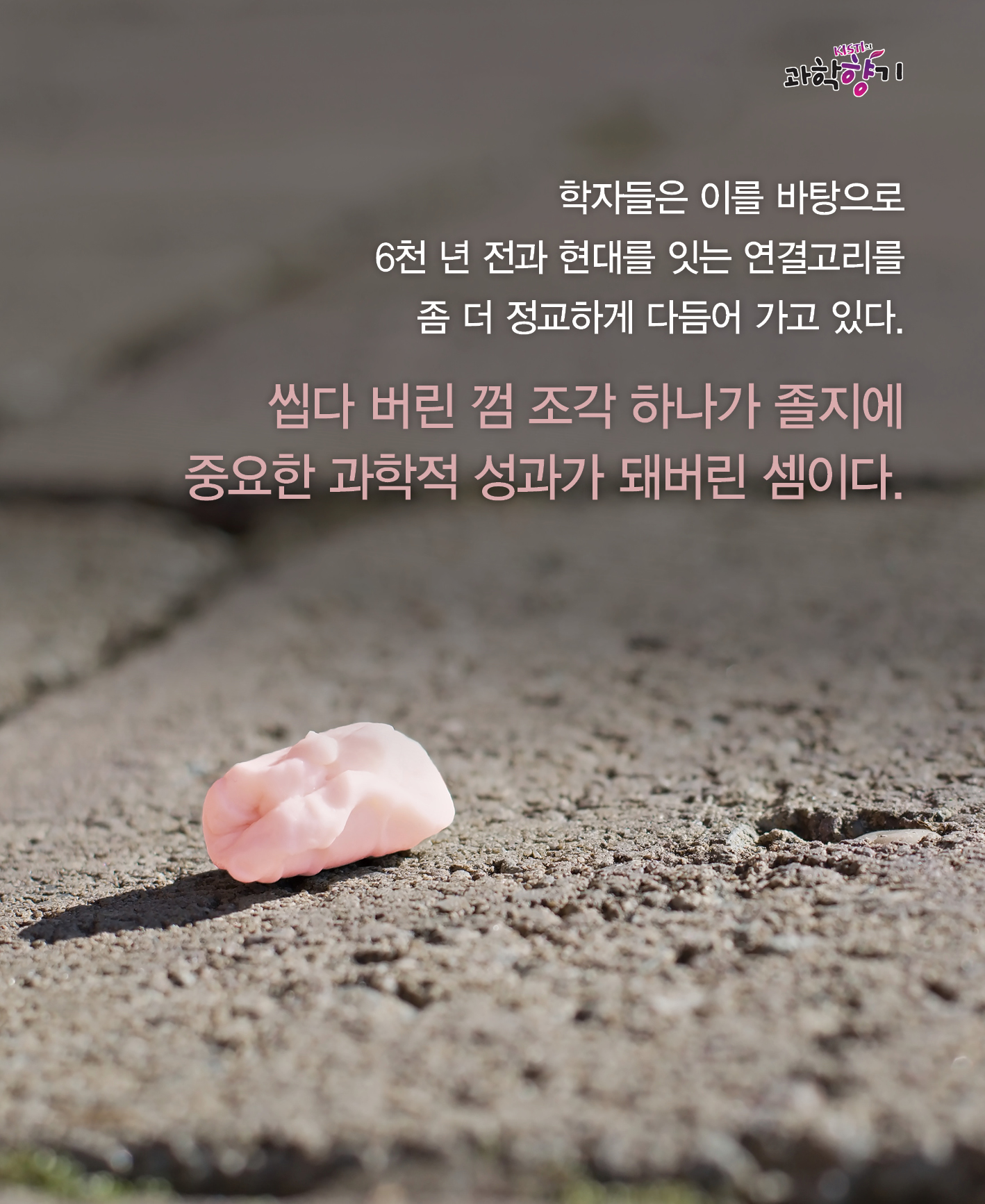 0108 껌으로 알아내는 인류 조상들의 삶 14