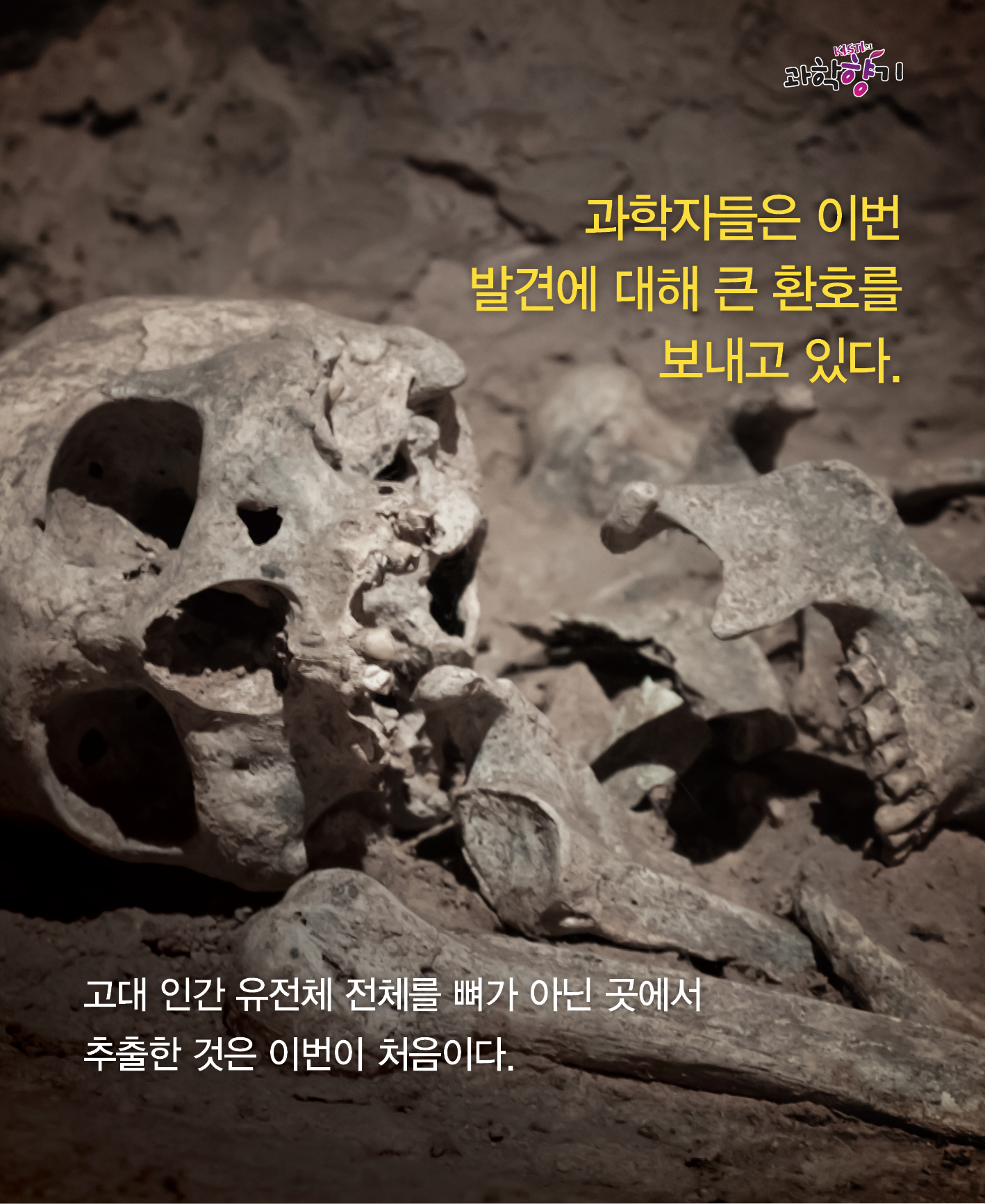 0108 껌으로 알아내는 인류 조상들의 삶 11
