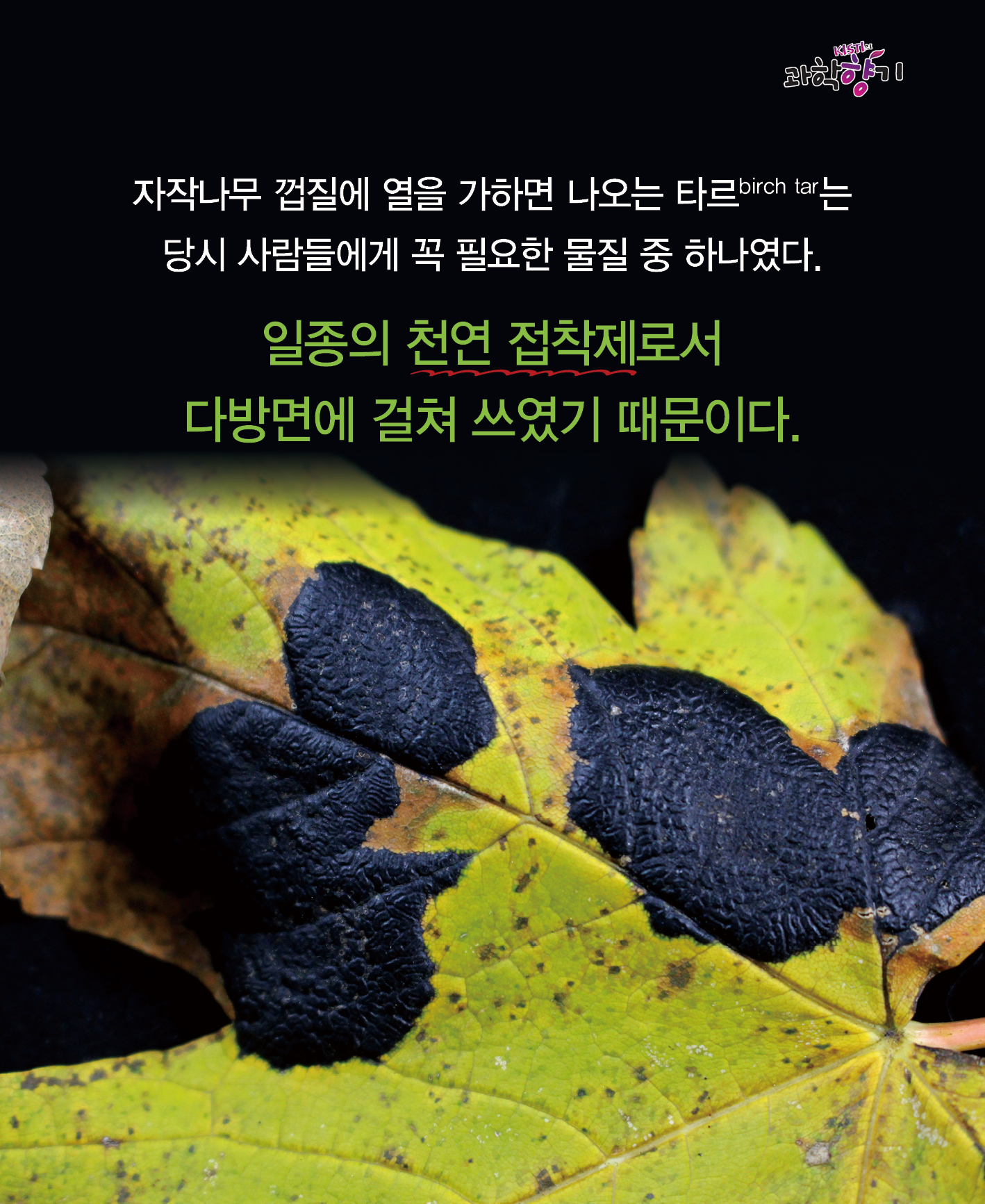 0108 껌으로 알아내는 인류 조상들의 삶 07