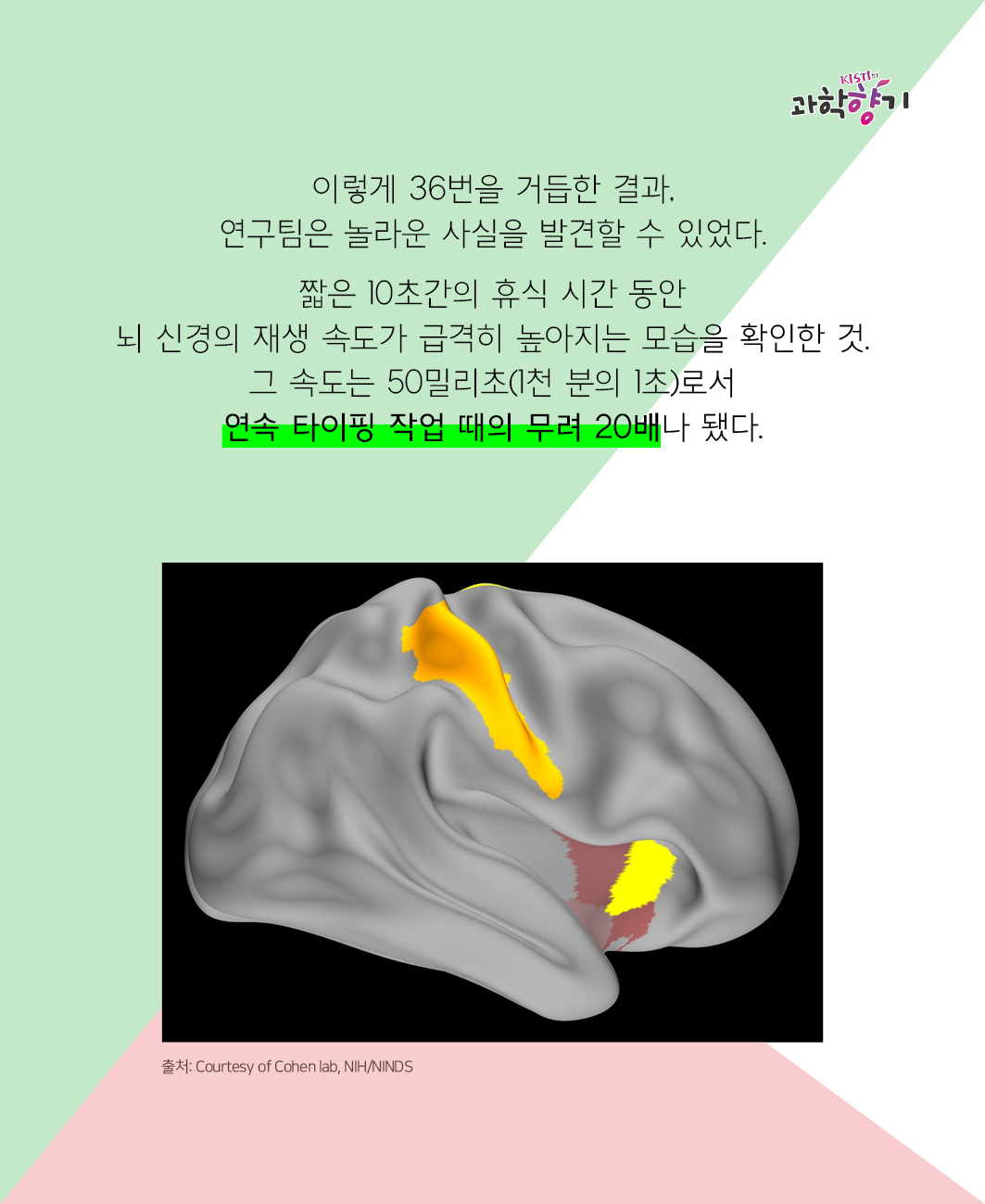 이렇게 36번을 거듭한 결과, 연구팀은 놀라운 사실을 발견할 수 있었다.   짧은 10초간의 휴식 시간 동안 뇌 신경의 재생 속도가 급격히 높아지는 모습을 확인한 것. 그 속도는 50밀리초(1천 분의 1초)로서 연속 타이핑 작업 때의 무려 20배나 됐다.