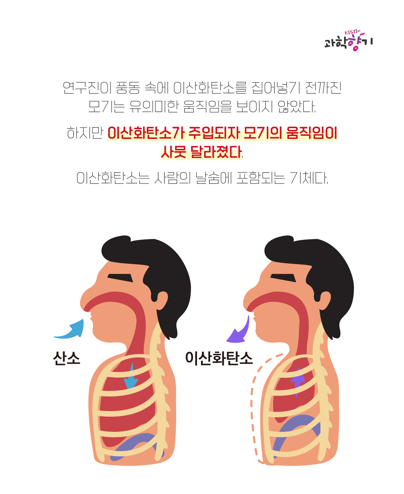 모기싫어06