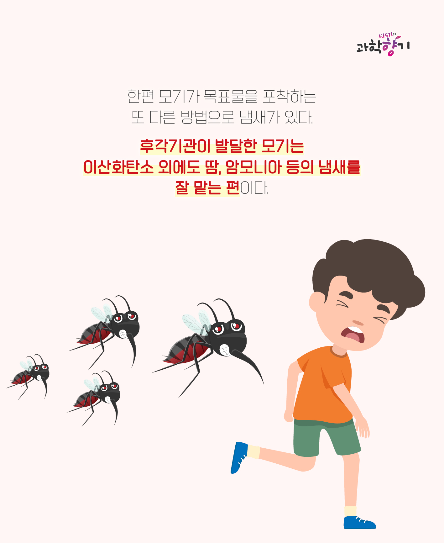 모기싫어11