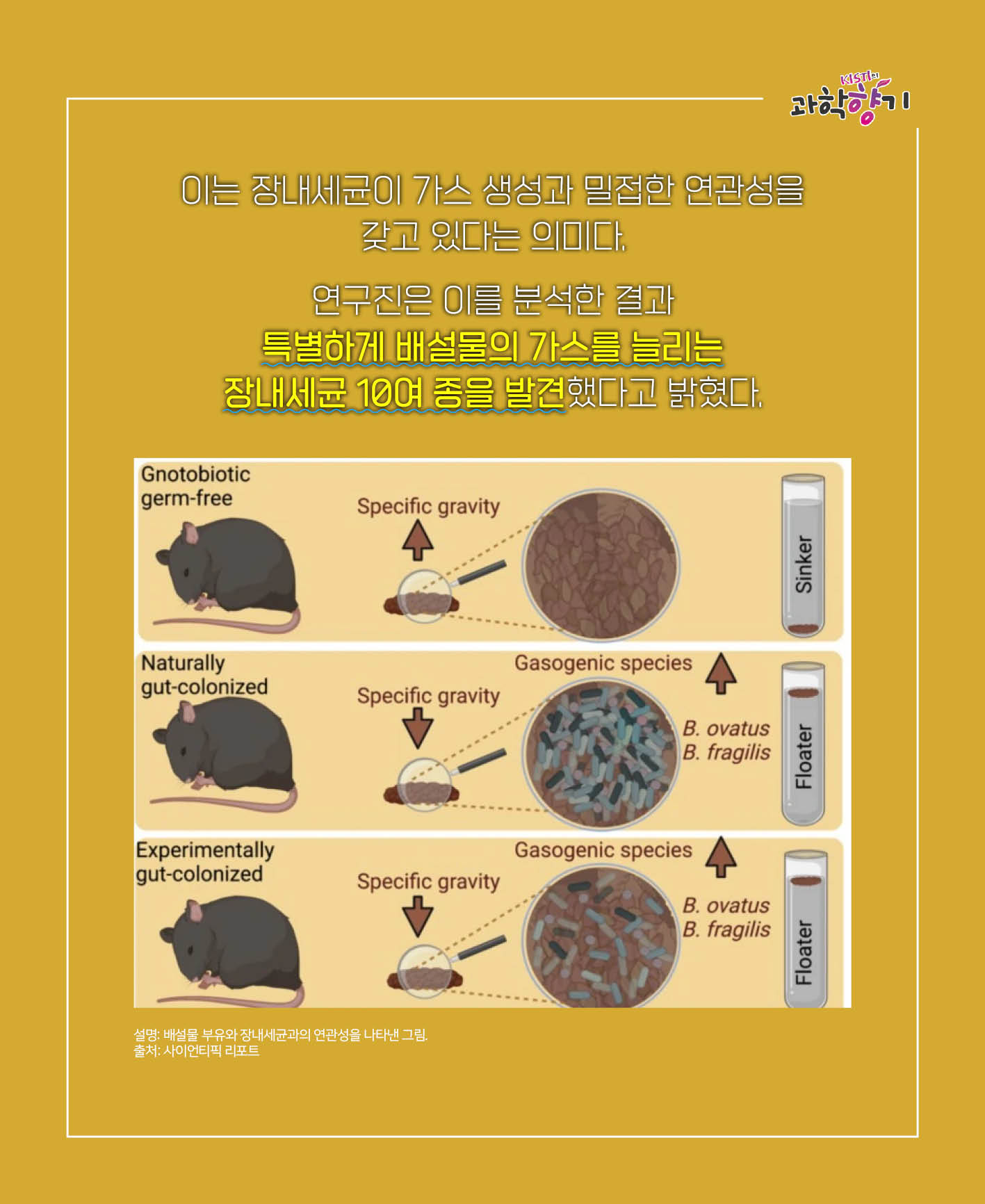 장내세균10