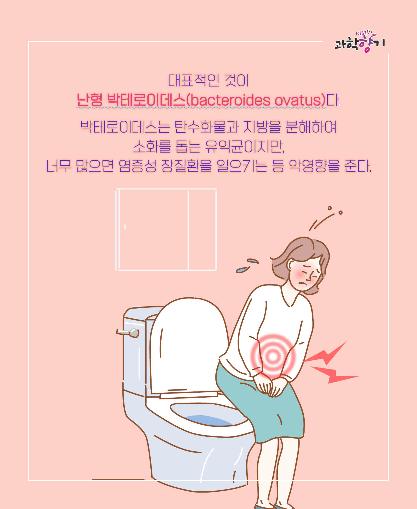장내세균11