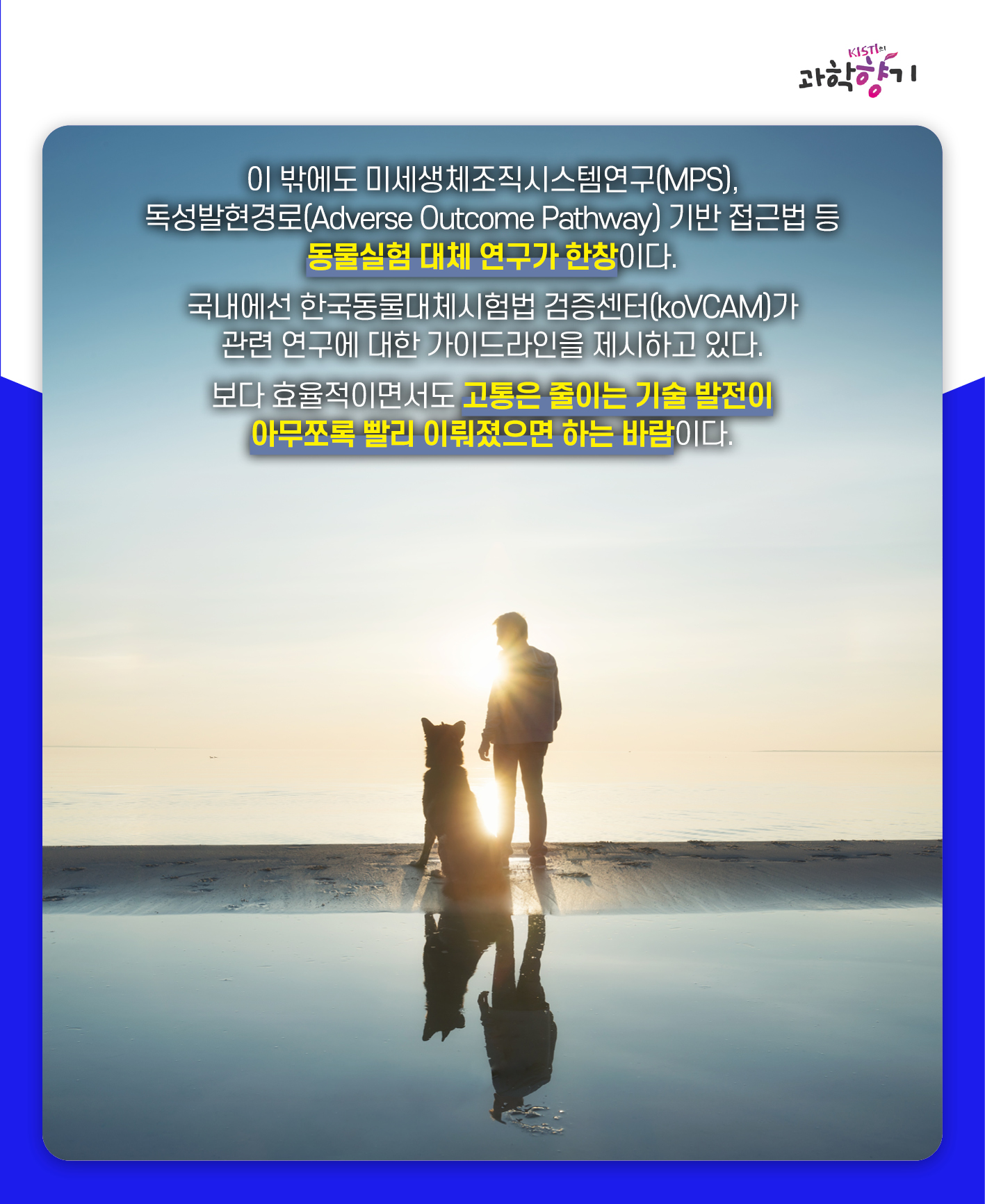 동물실험14
