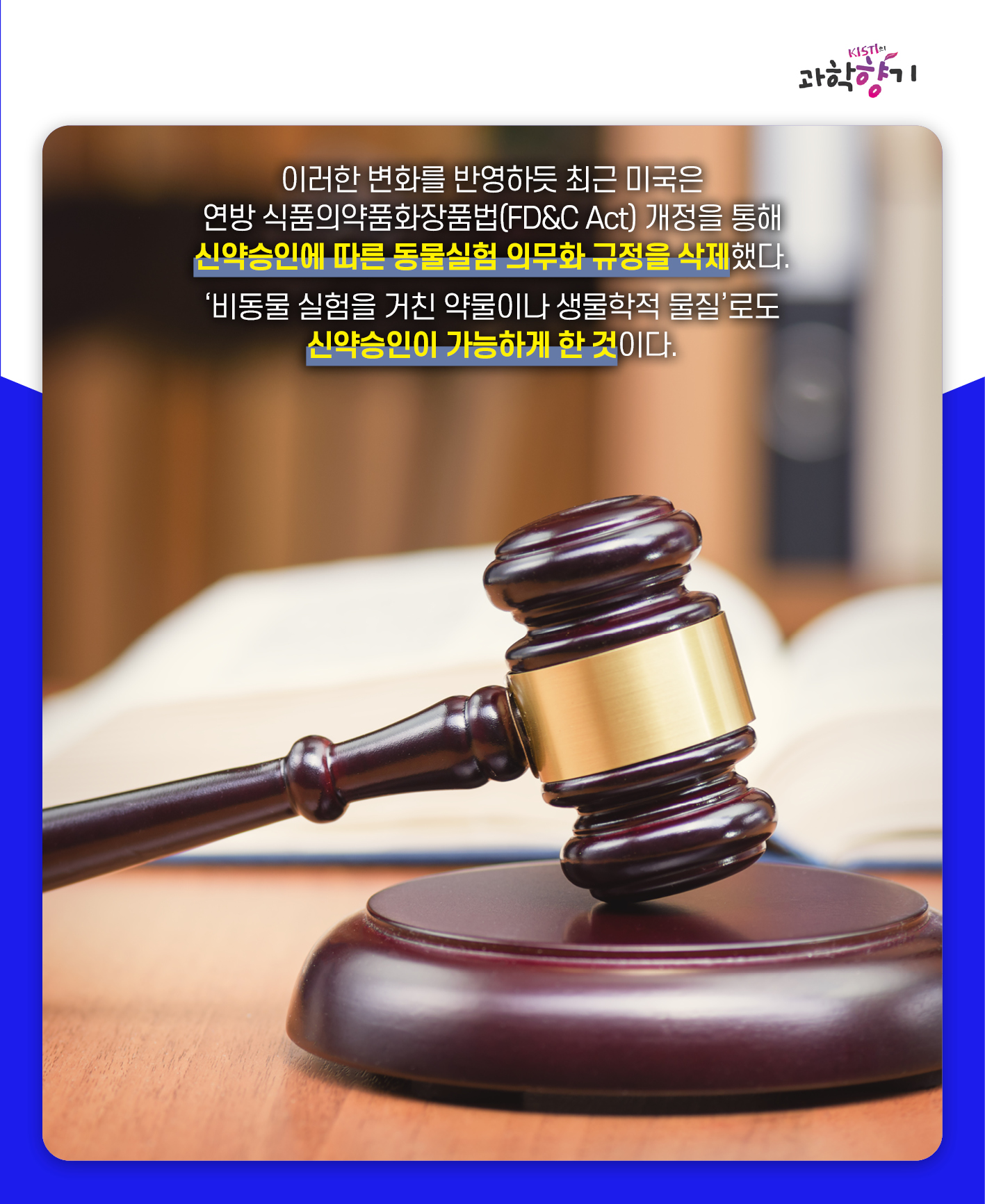 동물실험10