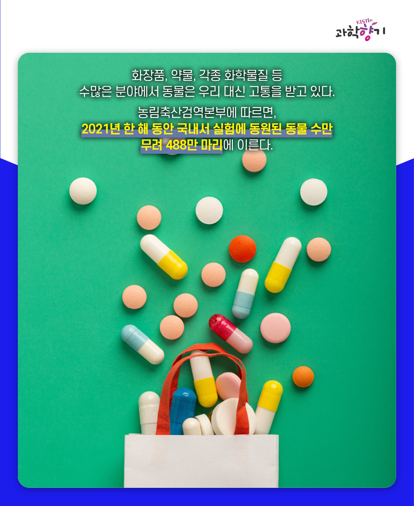 동물실험03