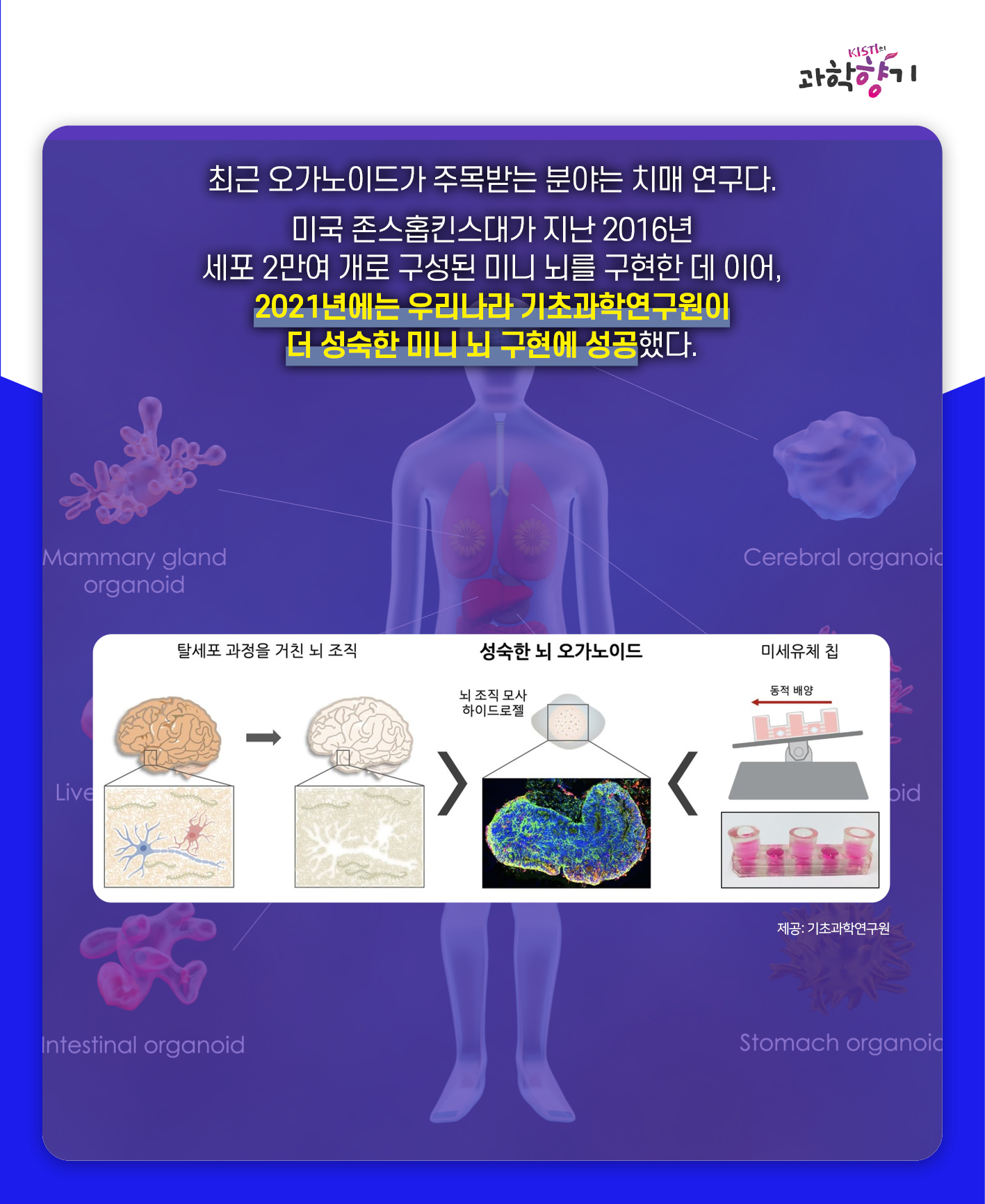 동물실험08