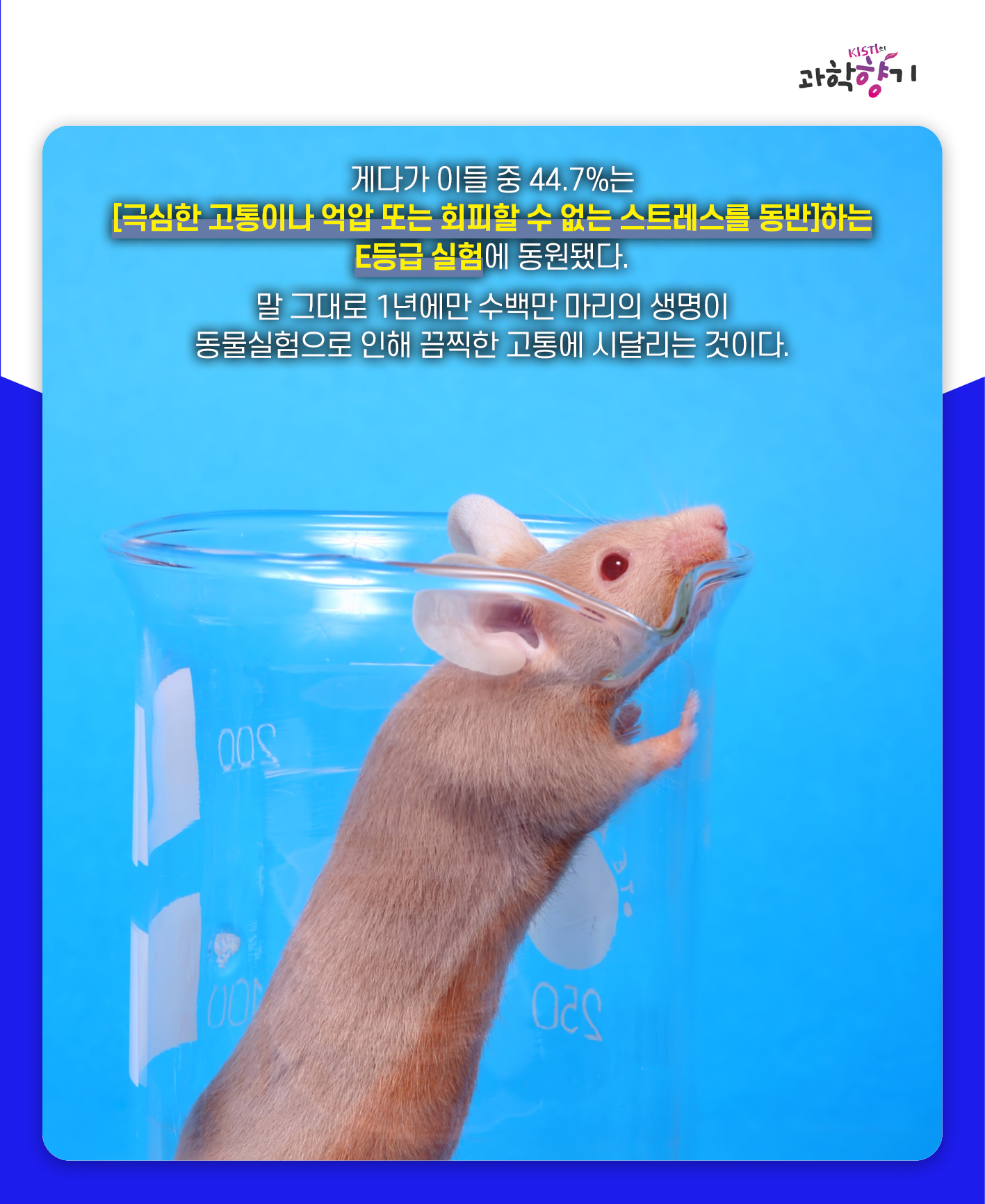 동물실험04