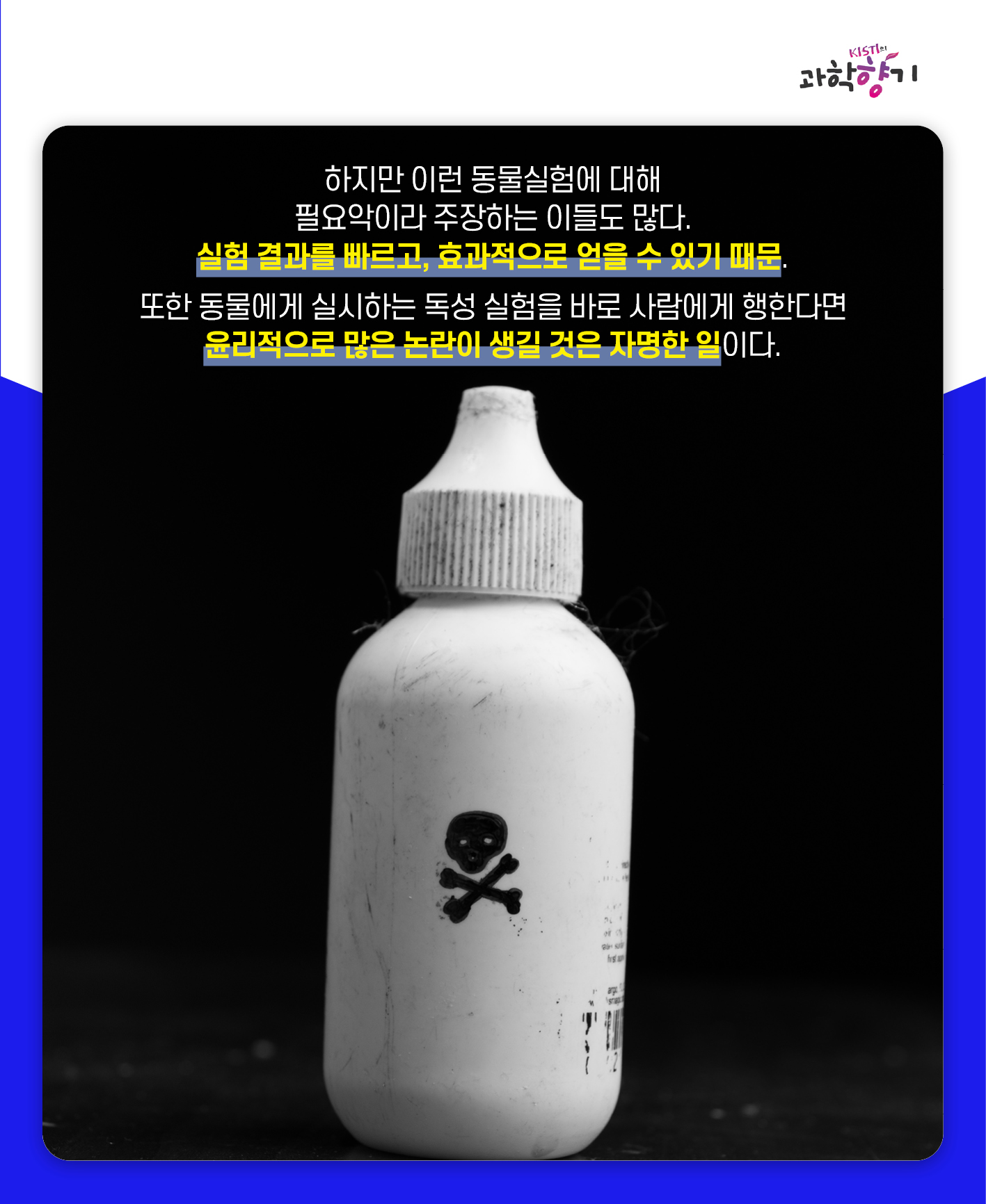 동물실험05
