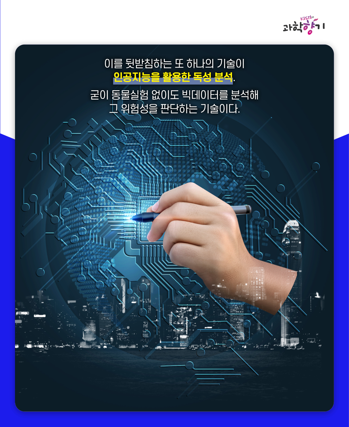 동물실험11
