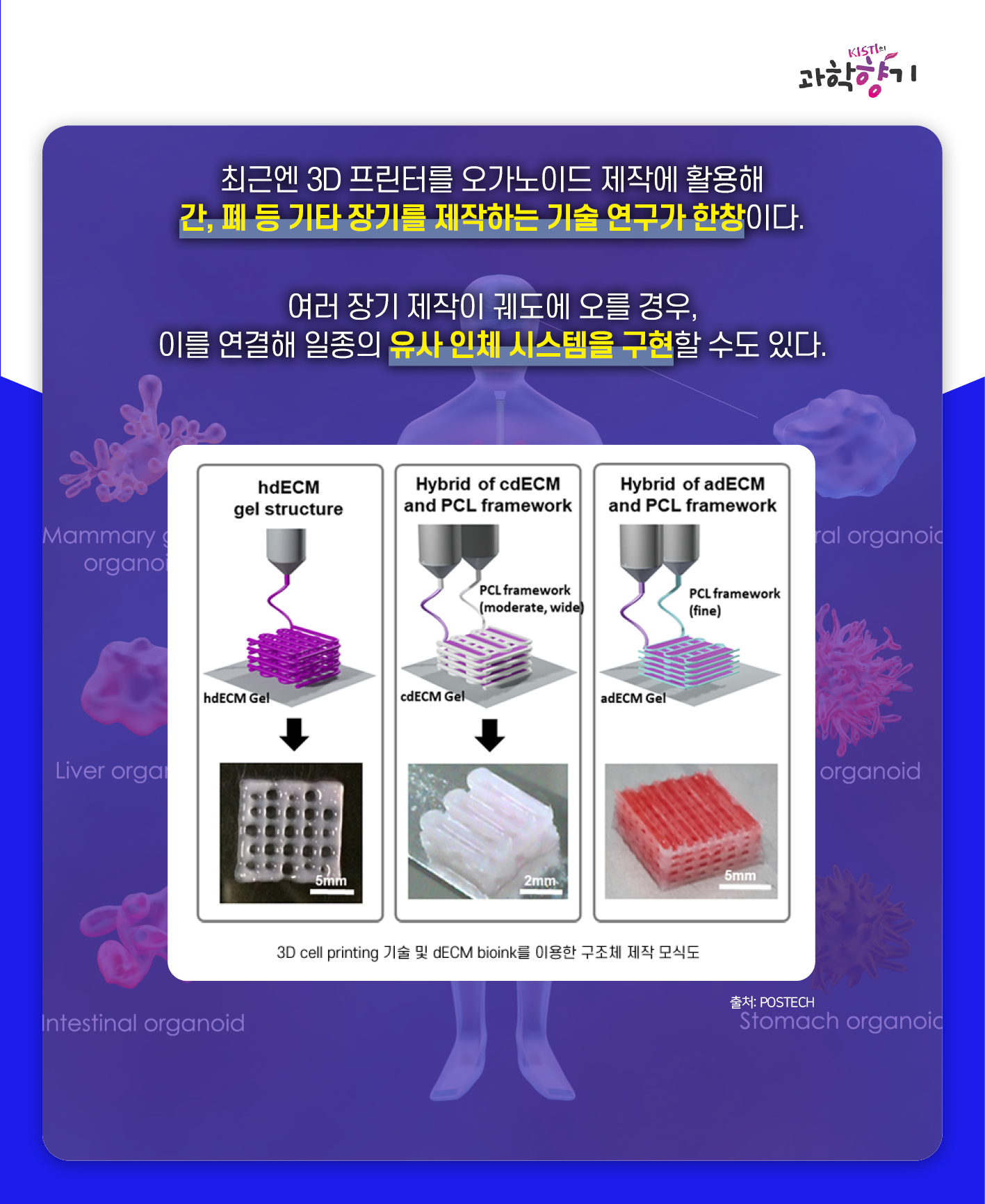동물실험09