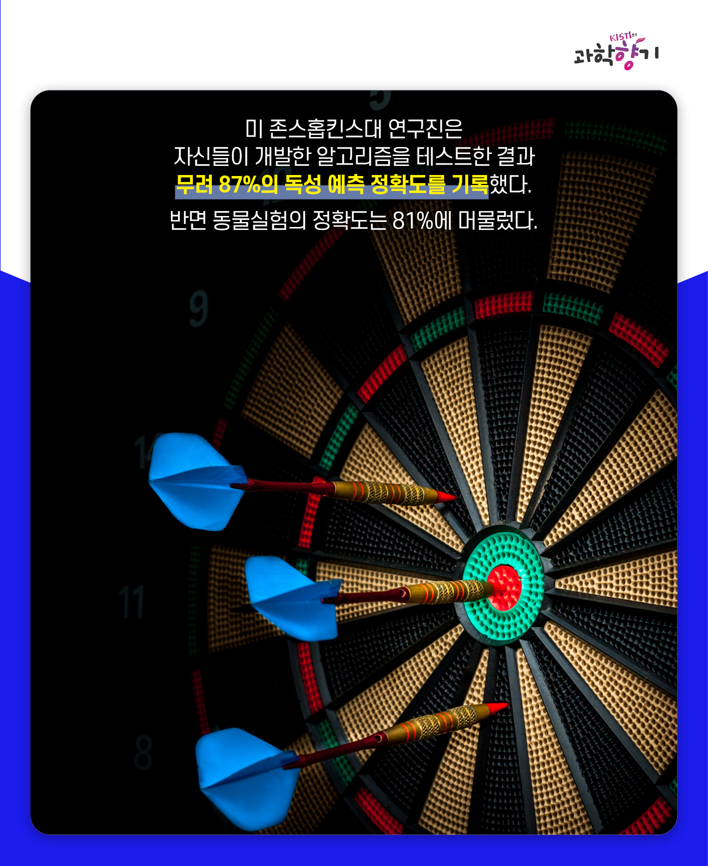 동물실험12