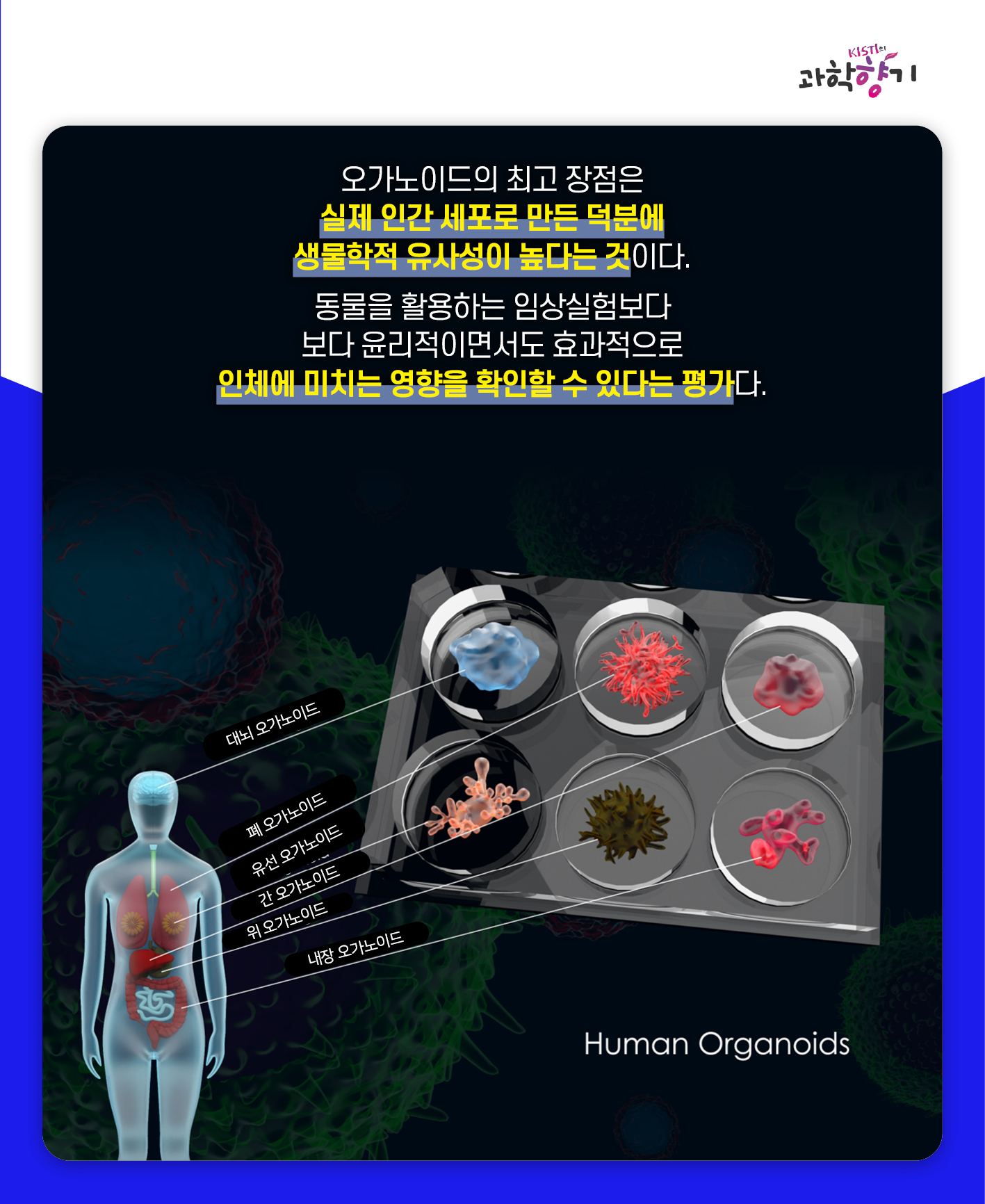 동물실험07