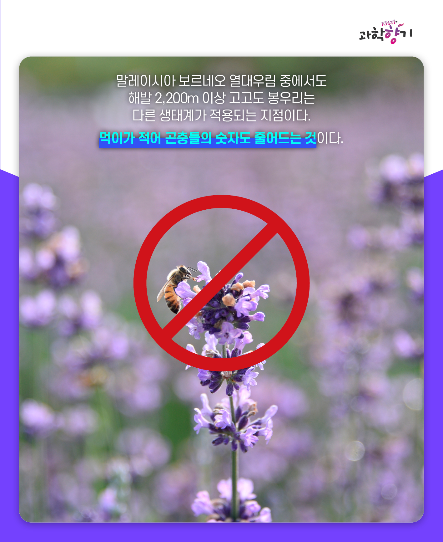 네펜더스06