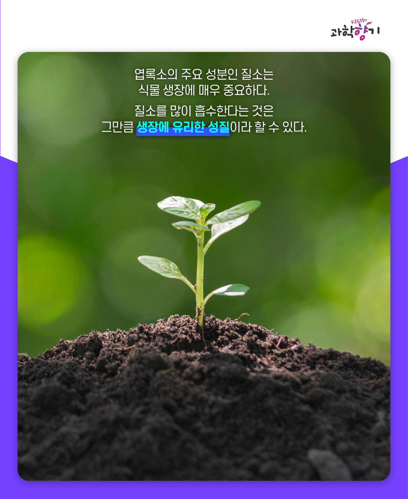 네펜더스13