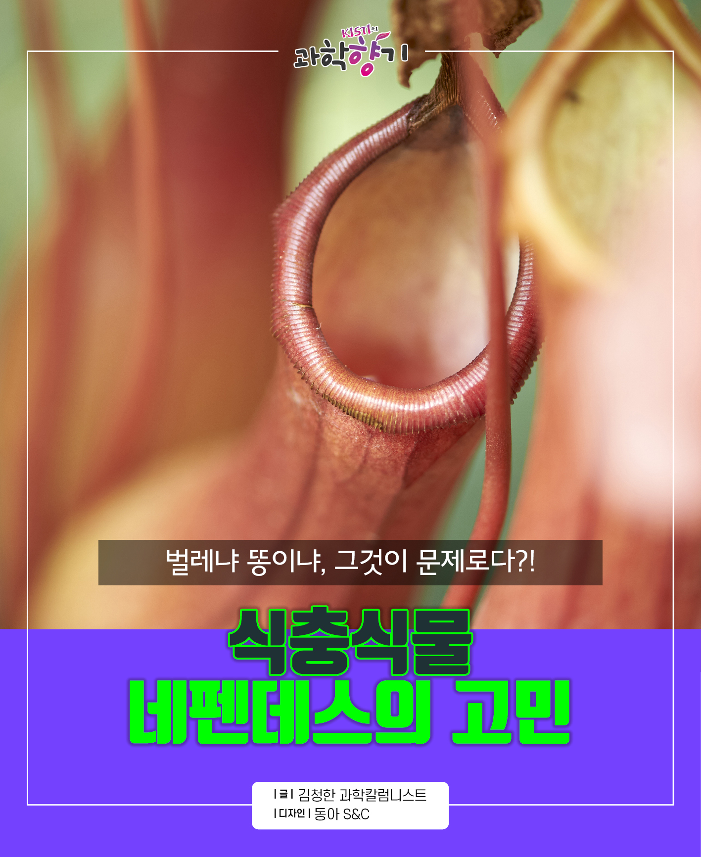 네펜더스0