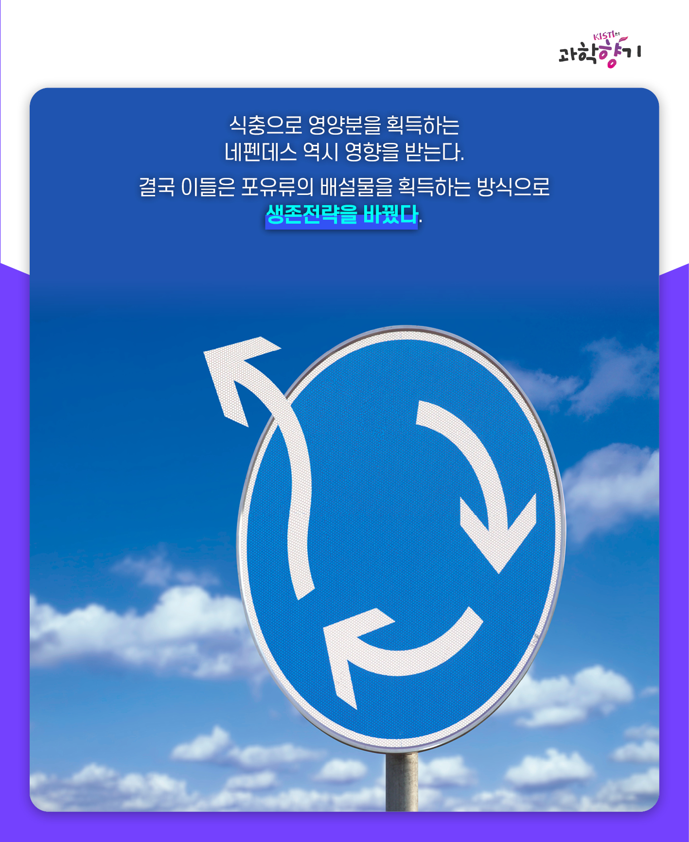 네펜더스07