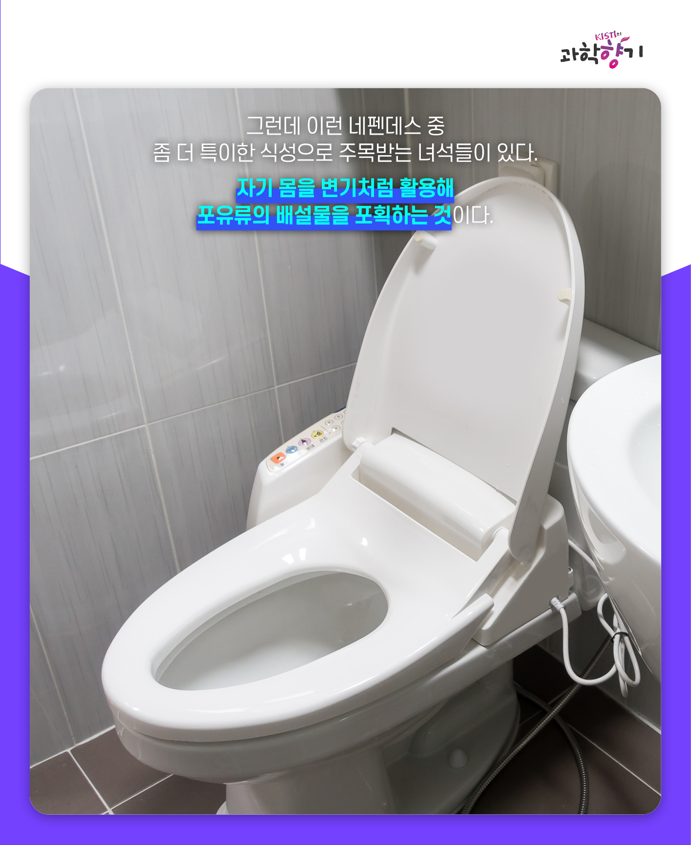 네펜더스05