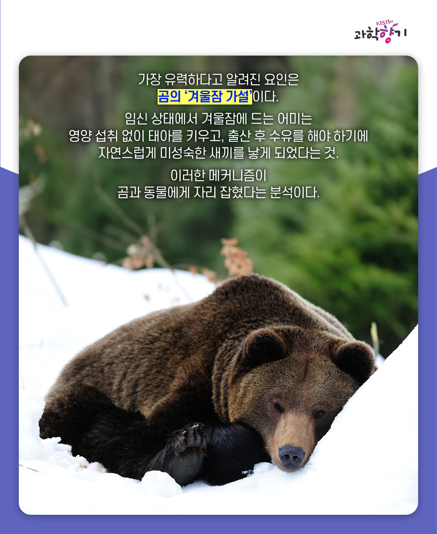 푸바오06