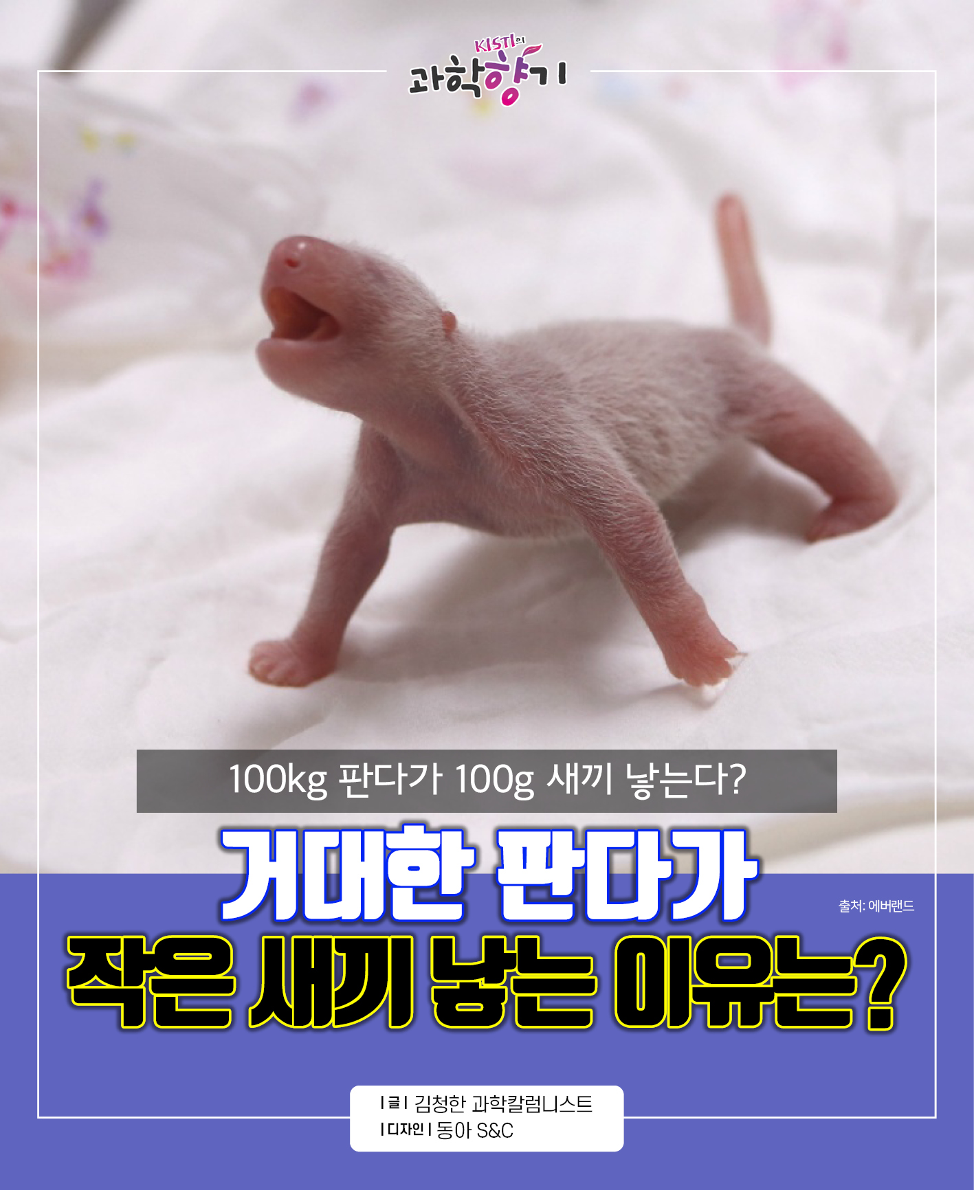 푸바오01