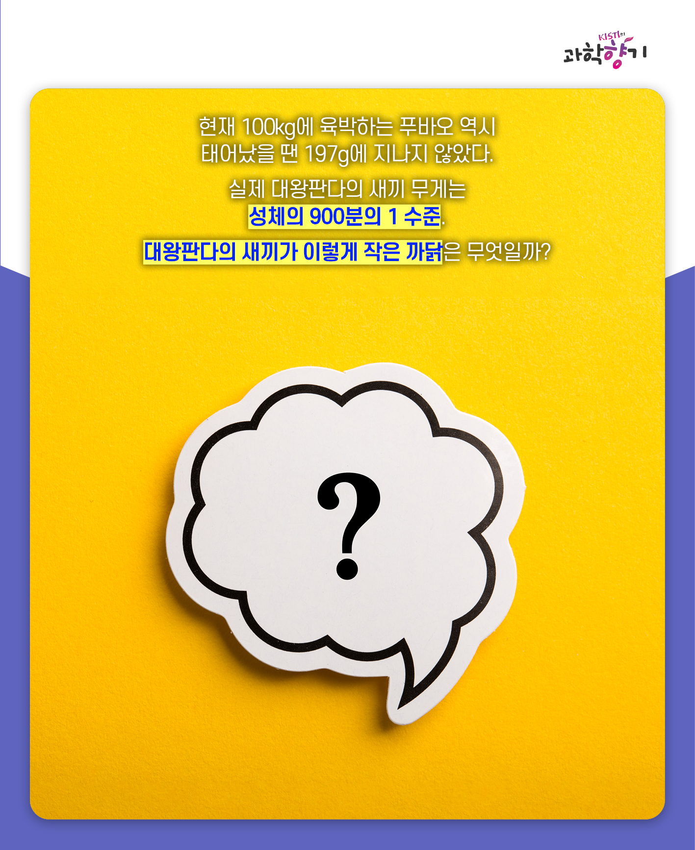 푸바오05