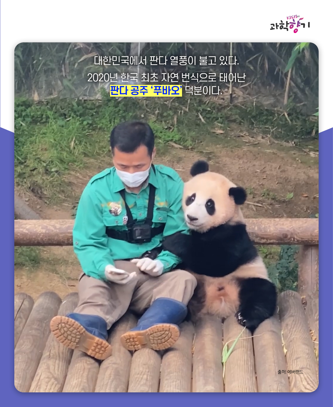 푸바오02