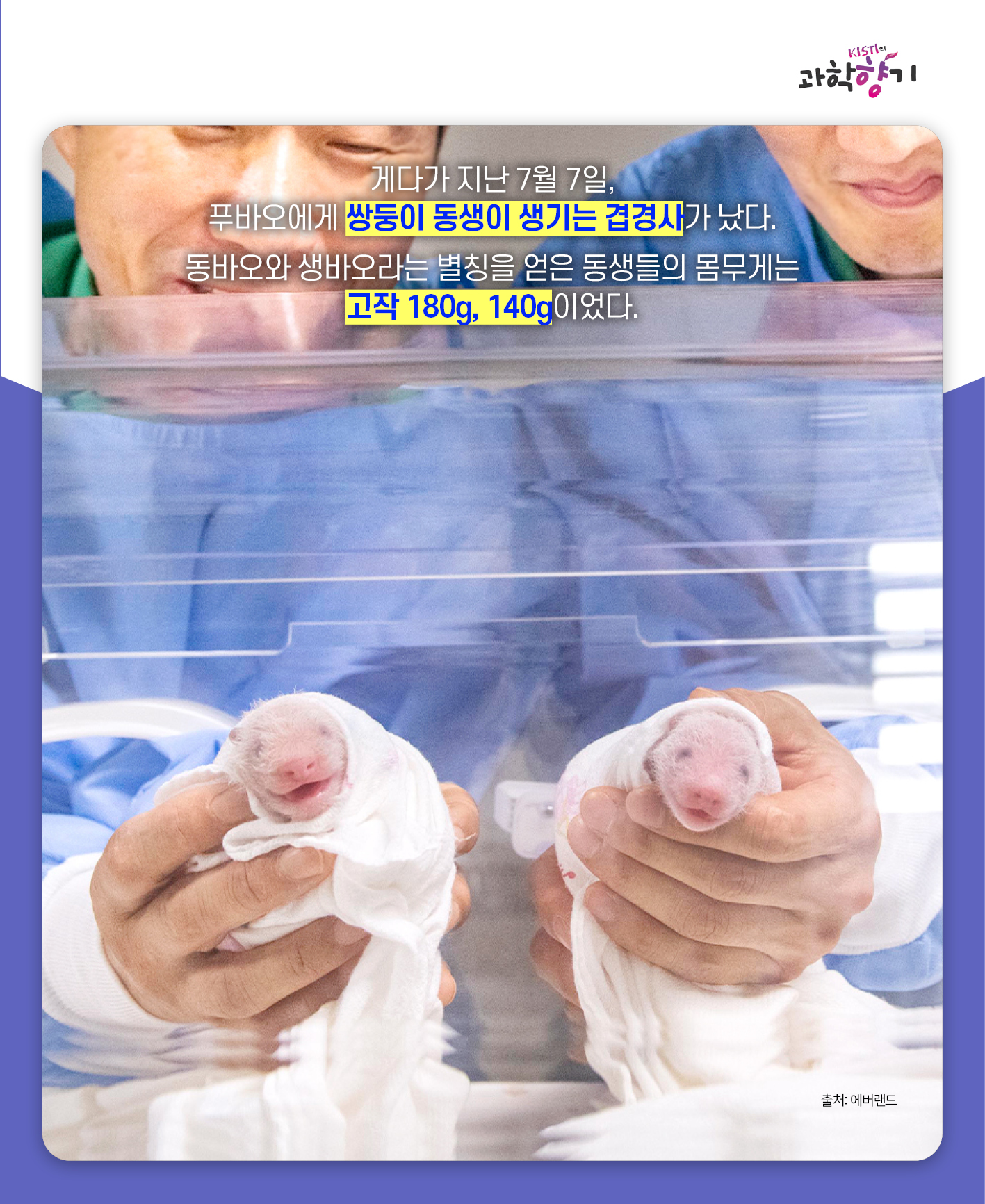 푸바오04