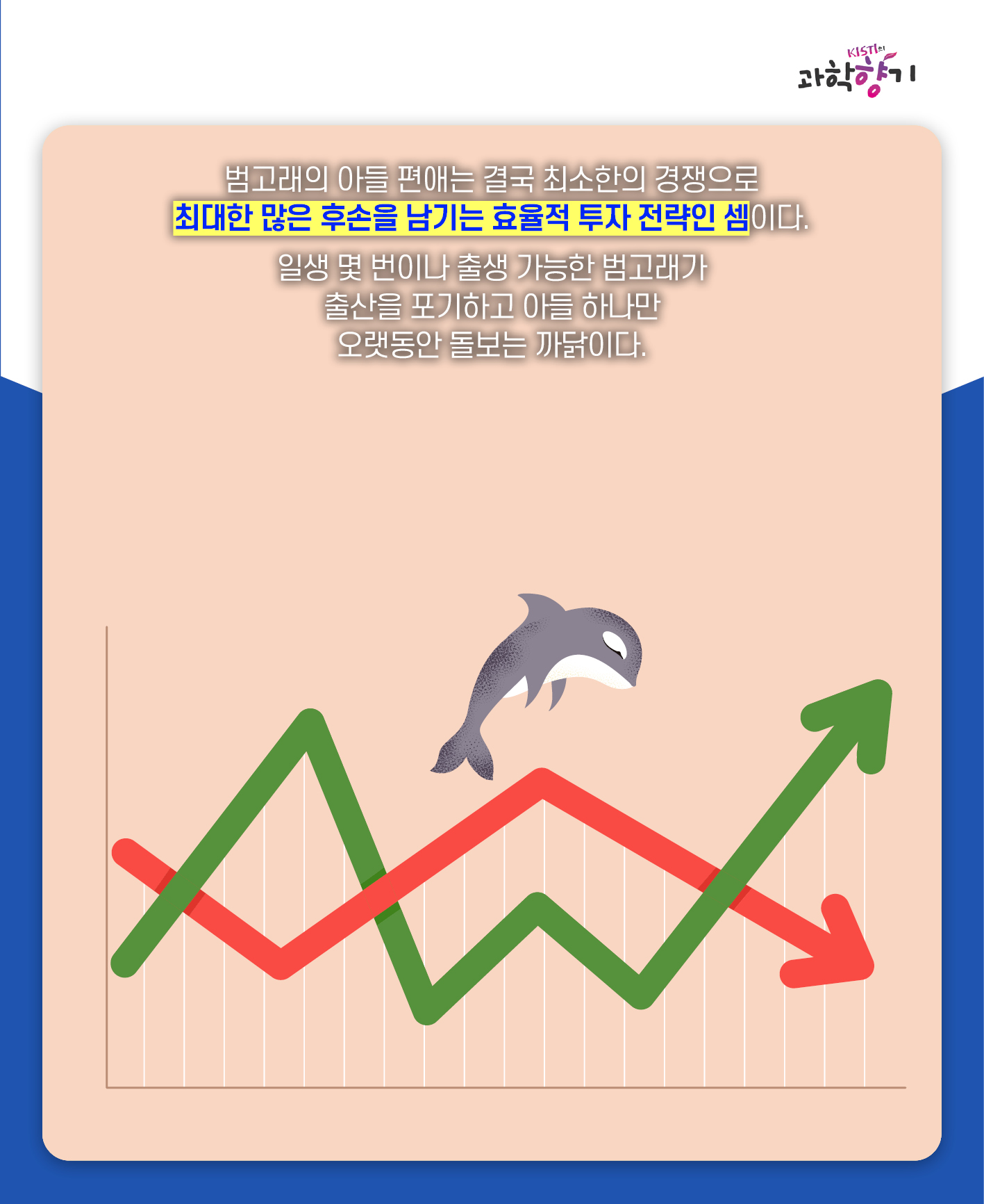 아들바보범고래11