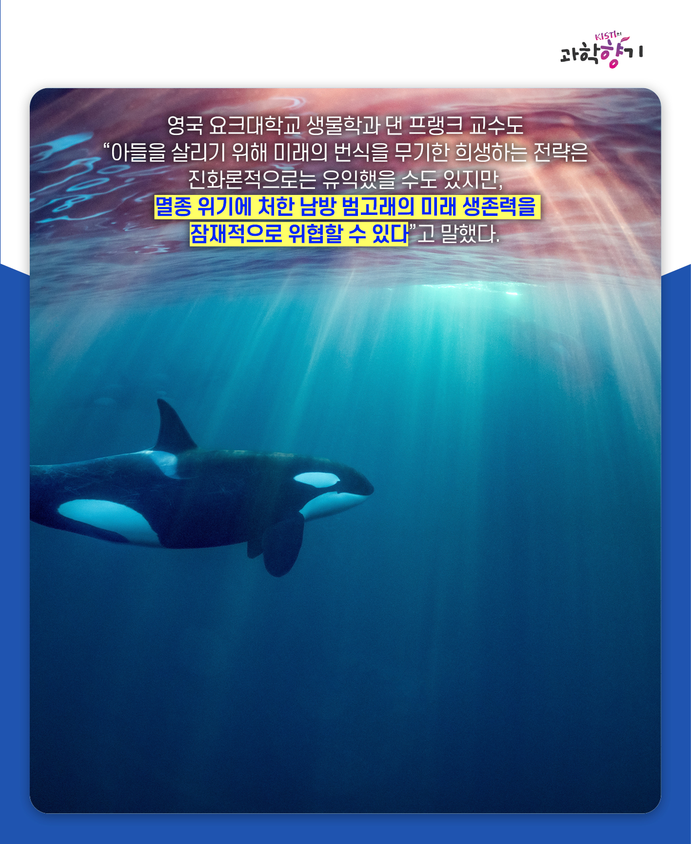 아들바보범고래14