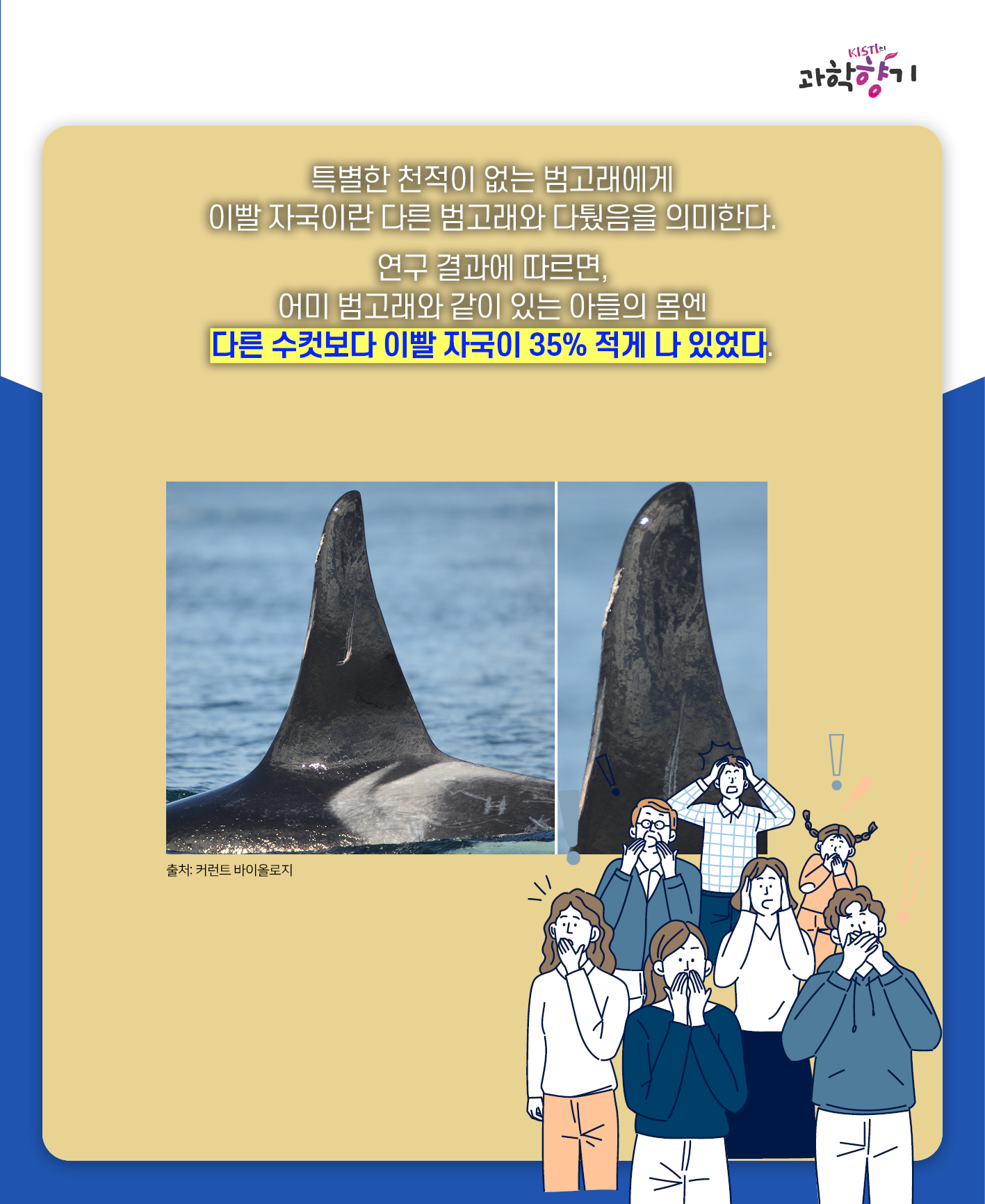 아들바보범고래08