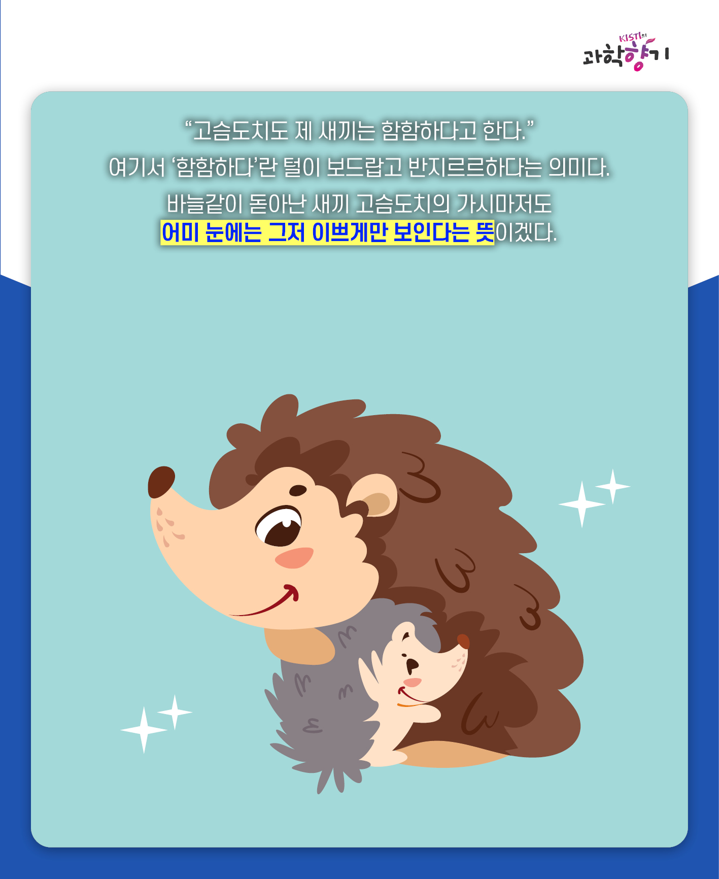 아들바보범고래02