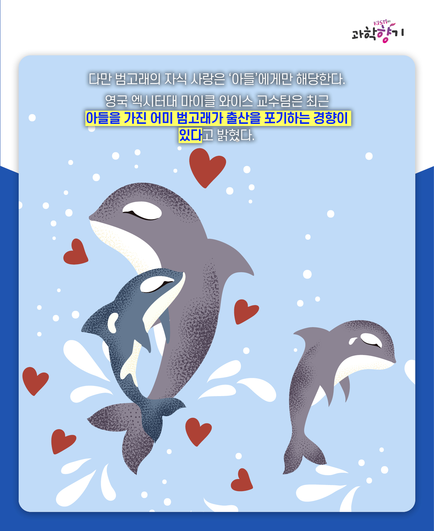 아들바보범고래04