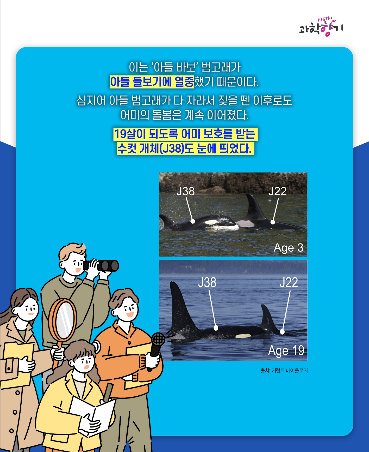 아들바보범고래06
