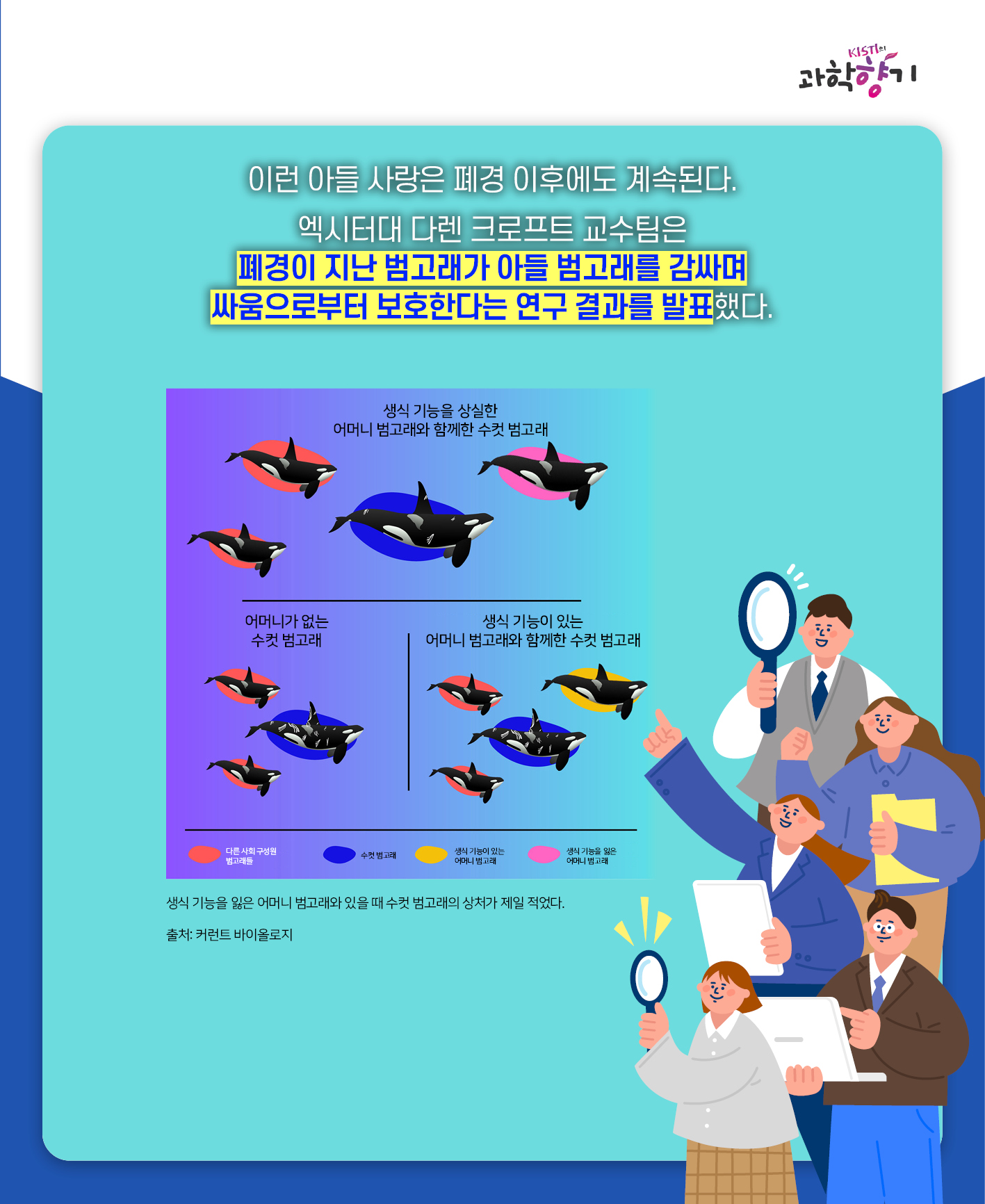 아들바보범고래07