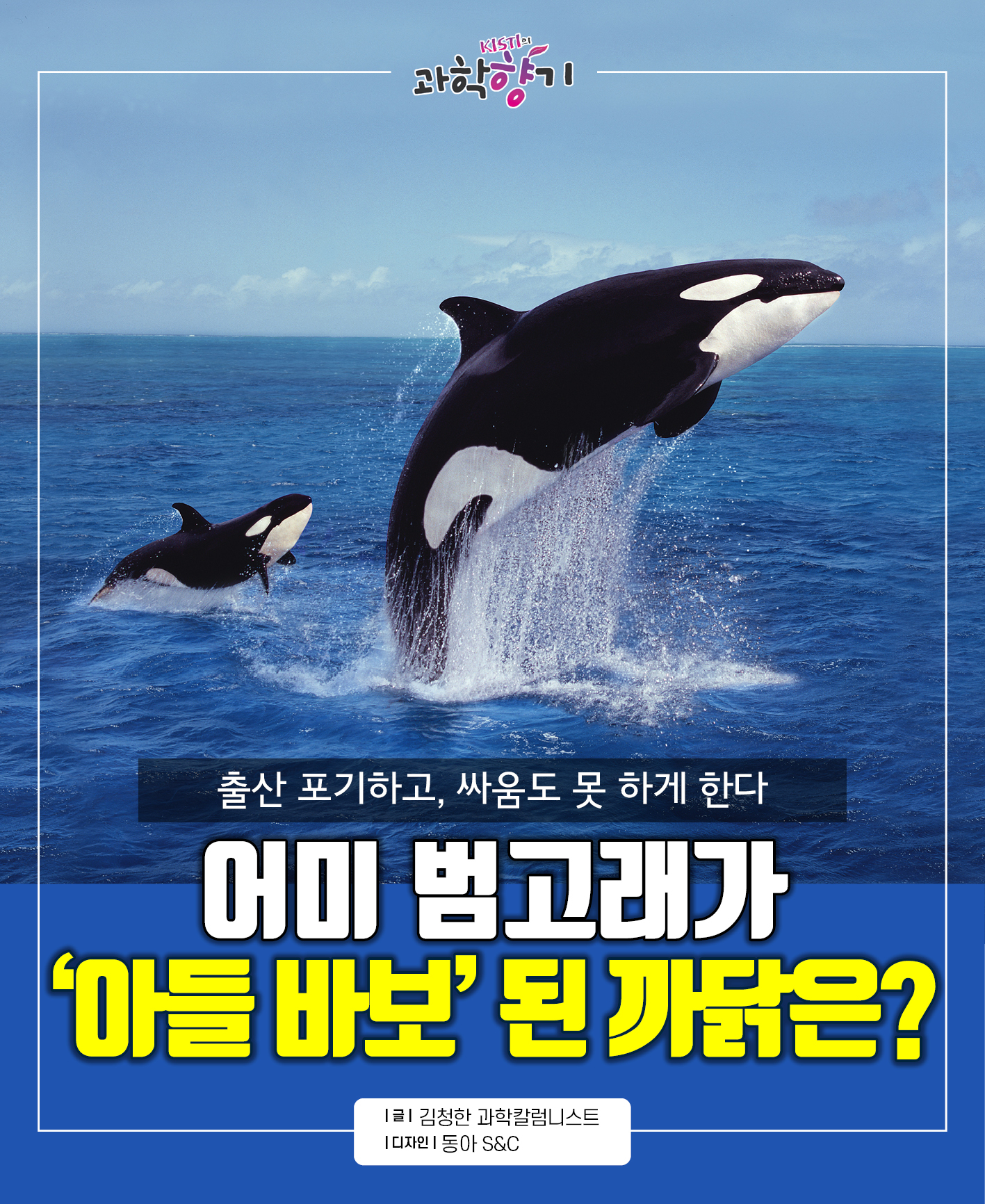 아들바보범고래01